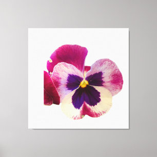 Toile de photo de fleur de pensée rose et violet v