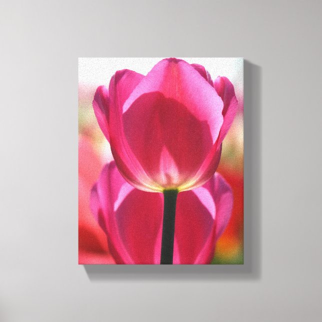 Toile de tulipe rose (Recto)