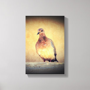 Toile Debonair Dove