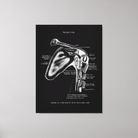 Décor Médicale de l'anatomie de l'épaule