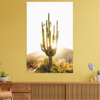 Décor photographique du désert avec Cactus