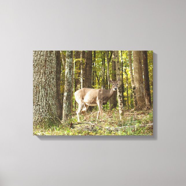 Toile Deer Me (Recto)
