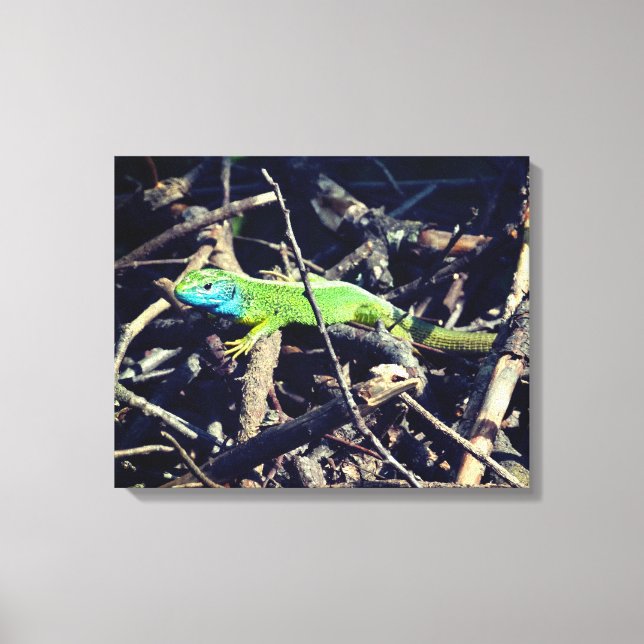 Toile d'enrobage photo Lizard vert (Recto)