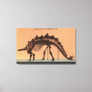 Toile Denver, le Colorado - musée d'histoire naturelle