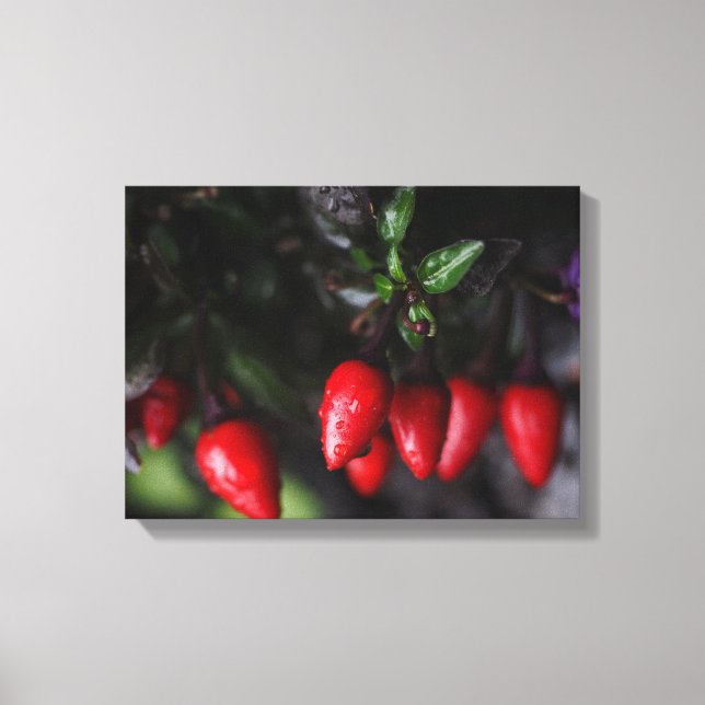 Toile Des Red Hot Garden Salsa Chili Peppers. (Recto)