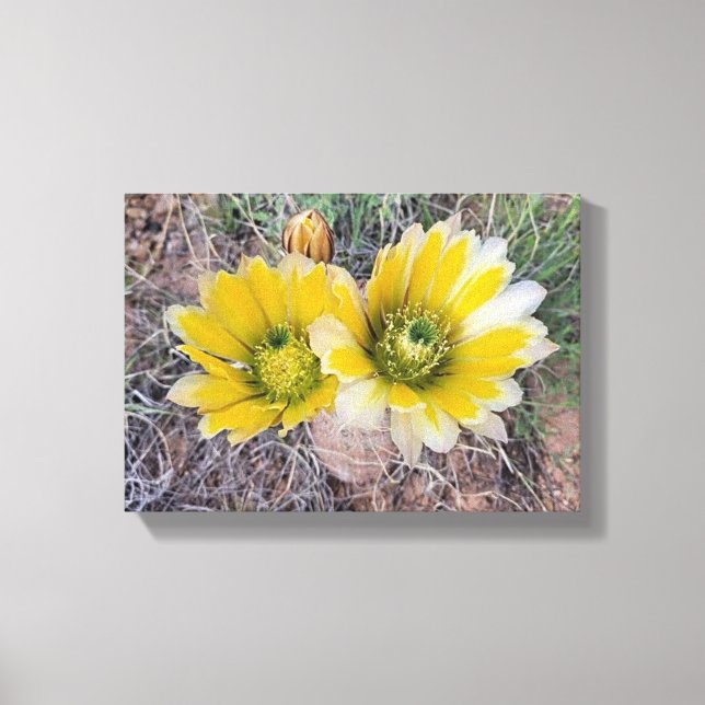 Toile Desert Blooms (Recto)