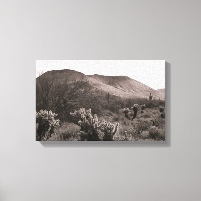 Toile Desert Cactus Jumping Cholla B&W Photo Art Imprime (Recto)