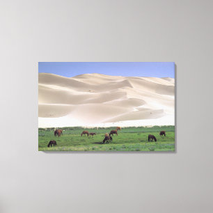 Toile Désert de Gobi   Chevaux sauvages