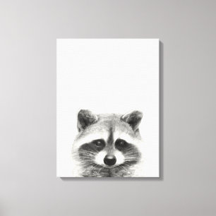 Toile Dessin au crayon de Raccoon