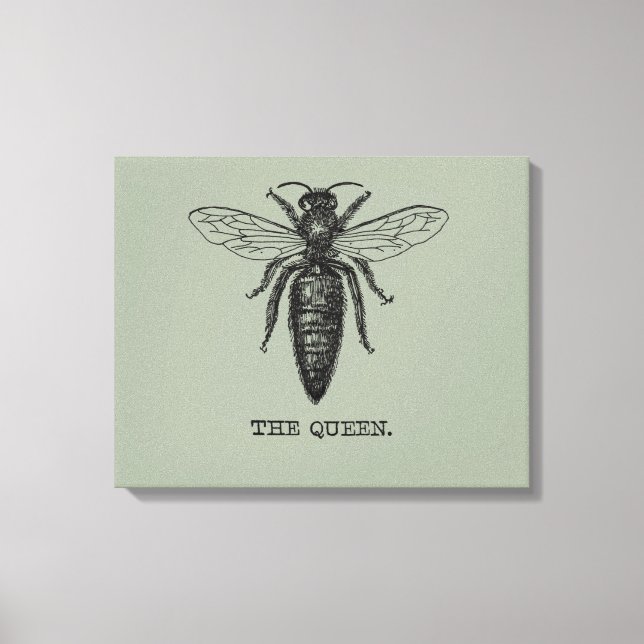 Toile Dessin classique de l'illustration de Queen Bee (Recto)