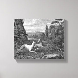 Toile Dessin de Chien Greyhounds italien