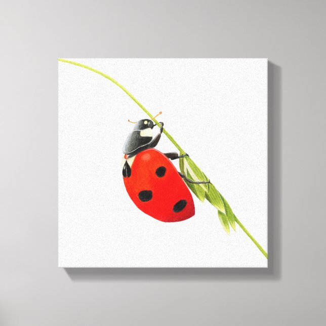 Toile Dessin de Ladybug (Recto)