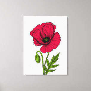 Toile Dessin de pavot rouge