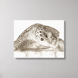 Toile Dessin de tortue de mer verte