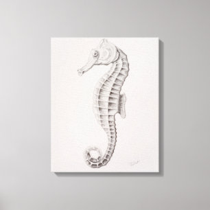 Toile Dessin des hippocampes côtières