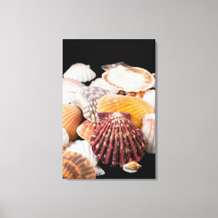 Toile Détail de coquillages du monde entier