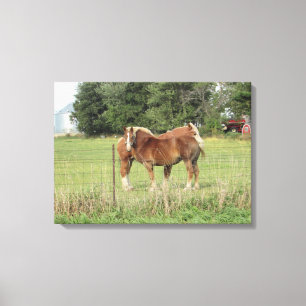 Toile Deux beaux chevaux ambrés à côté d'une ferme d'art