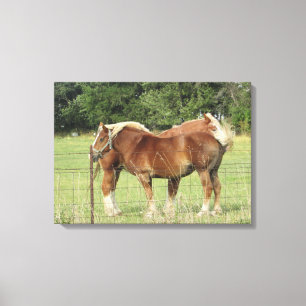 Toile Deux Beaux Chevaux d'Ambre à côté d'un Pho Fermier