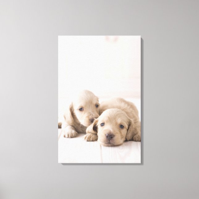 Toile Deux Dachshund miniature (Recto)