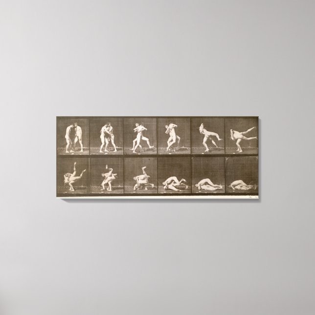 Toile Deux hommes lutte, assiette 347 de 'Animal Locomot (Recto)