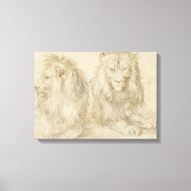 Toile Deux Lions Assis (Animaux Sauvages) (Albrecht Dure (Recto)