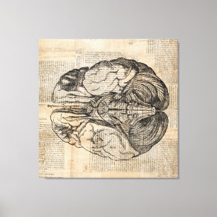 Toile Diagramme de cerveau antique Art ancien