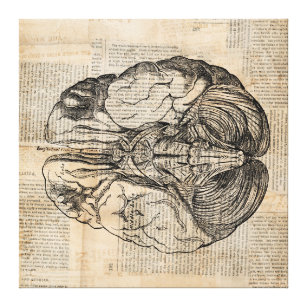 Toile Diagramme de cerveau antique Art ancien
