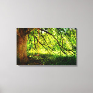 Toile Die Baumschaukel