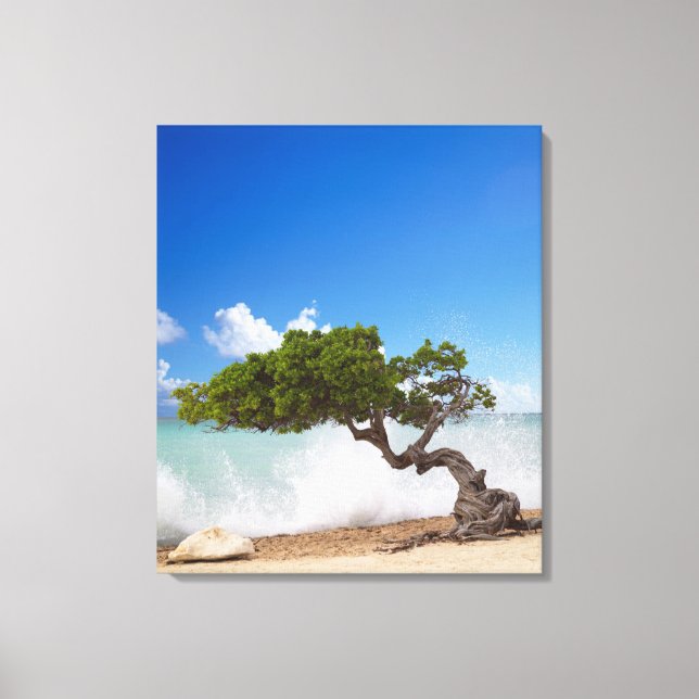Toile Divi Divi Tree, Eagle Beach, Aruba, Caraïbes (Recto)
