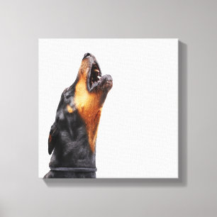 Toile Dobermann hurlant
