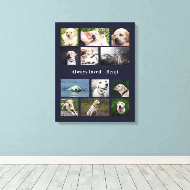 Toile Dog (Insitu (Plancher de Bois))