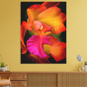 Toile d'orchidée Cattleya hybride