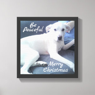 Toile Doux Tranquille Chien blanc mou assis avec papa Ca