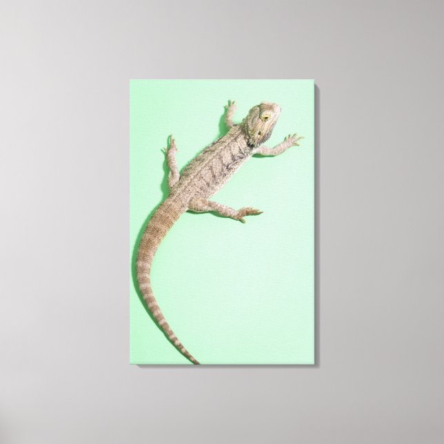Toile Dragon barbu 2 (Recto)