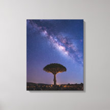 Dragon Blood Tree Milky Way Canvas  Ancient Nature