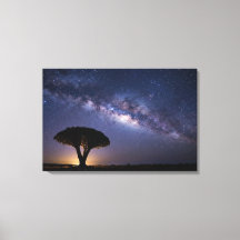 Dragon Blood Tree Milky Way Canvas  Ancient Nature