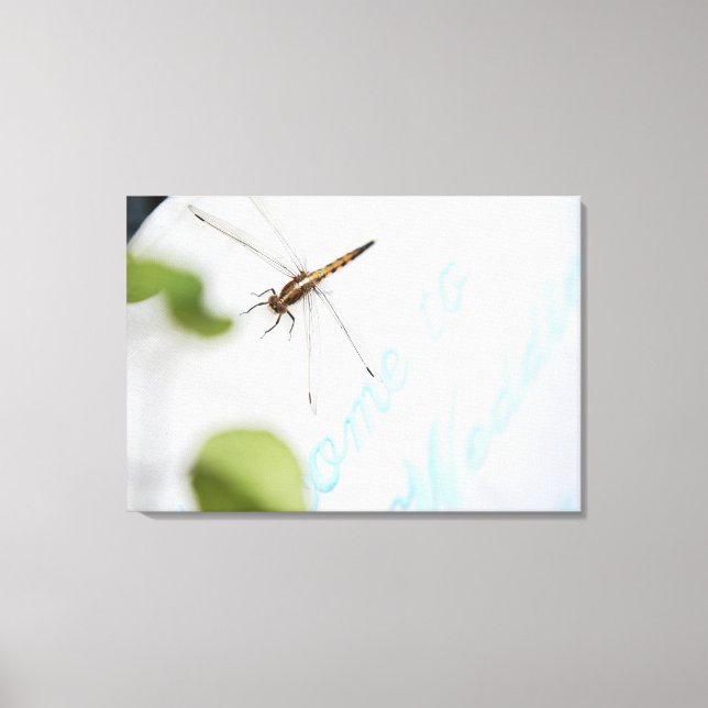 Toile Dragonfly 12 (Recto)