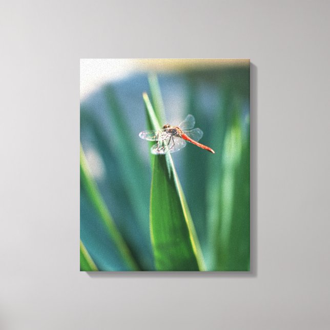 Toile Dragonfly 8 (Recto)
