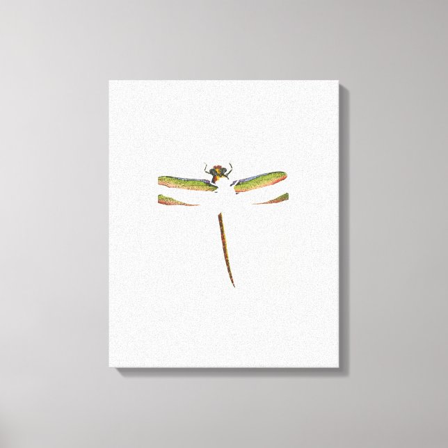 Toile Dragonfly miniature sur Arrière - plan blanc (Recto)