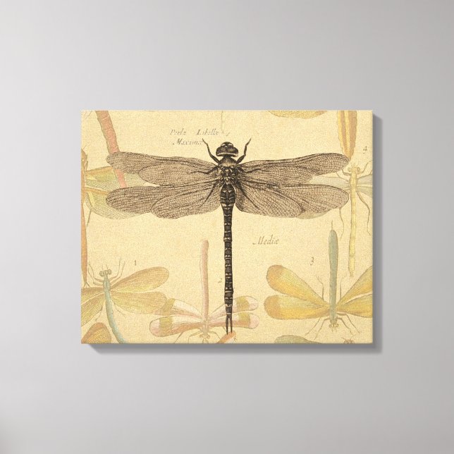 Toile Dragonfly Vintage Antique Classic Nature (Recto)