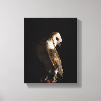 Toile Dramatic Barn Owl Portrait in the Dark