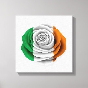 Toile Drapeau rose d'Irlandais sur le blanc