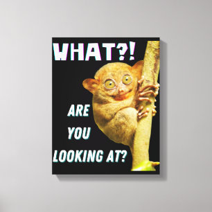 Toile Drôle Big Eyed Tarsier Ce que vous regardez