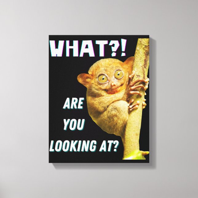 Toile Drôle Big Eyed Tarsier Ce que vous regardez (Recto)