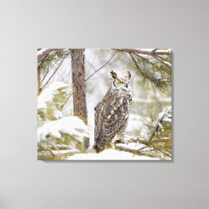 Toile Duc