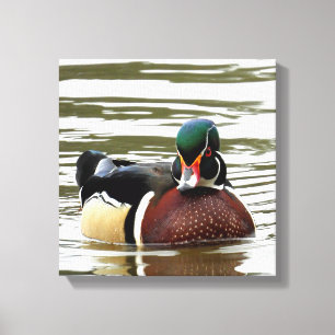 TOILE DUC EN BOIS MASCULÉ