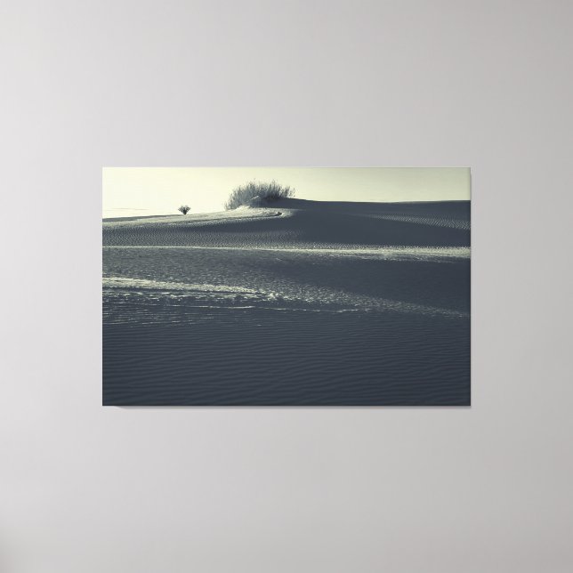 Toile Dunes de sable avec Yucca (Recto)