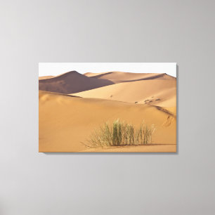 Toile Dunes de sable, désert du Sahara, Maroc