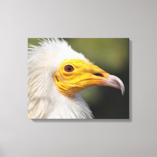 Toile Eagle