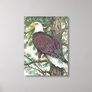 Toile Eagle chauve sur la branche